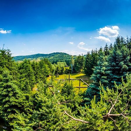 Agroturystyka Kapellanka - Kraina Wygaslych Wulkanow Wojcieszów Εξωτερικό φωτογραφία